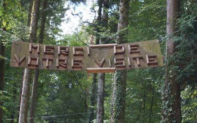 Les Internes à L’accro-branche !