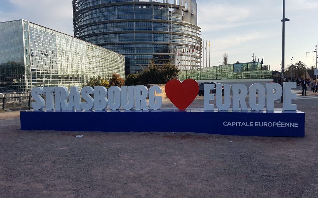 Les lycéens de Saint Pierre Fourier au cœur des institutions européennes